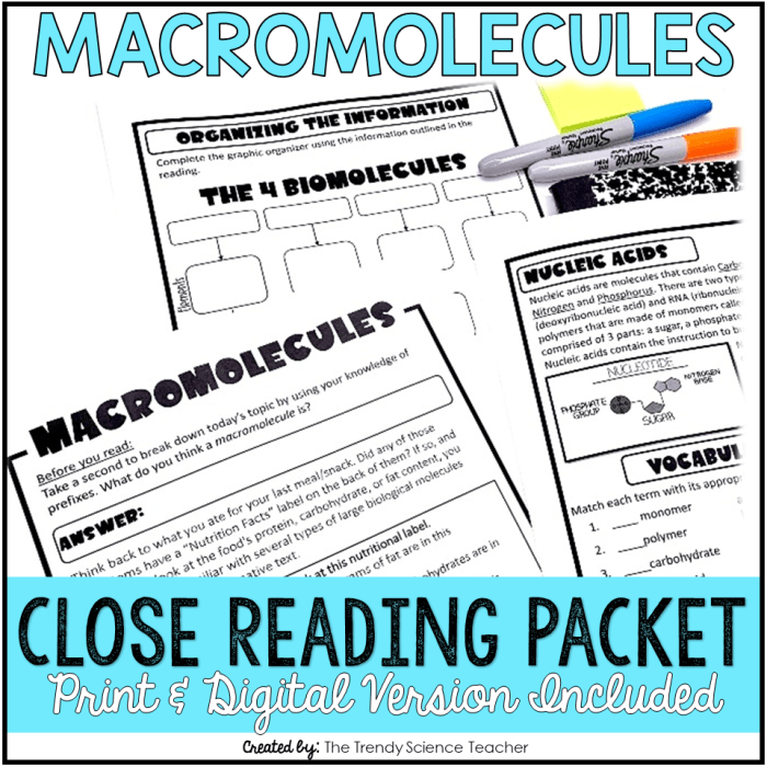 The trendy science teacher macromolecules