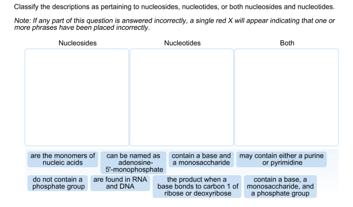 Classify the descriptions as pertaining to nucleosides